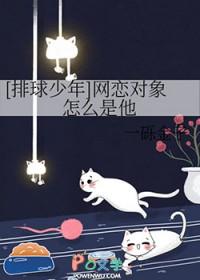 排球少年男女cp