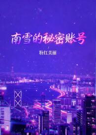 南雪公司怎么样