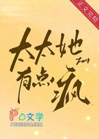 太太她有点疯年代
