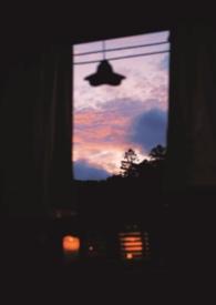 暗里生香