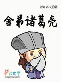 诸葛亮他弟是谁