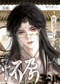 朕是天子岂能怀孕!txt