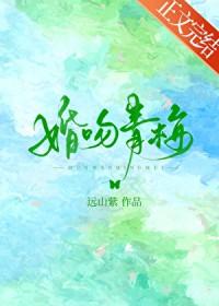 婚吻青梅番外txt百度