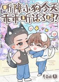 听障视频