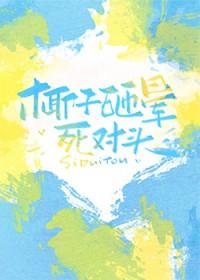 被椰子砸中发现什么