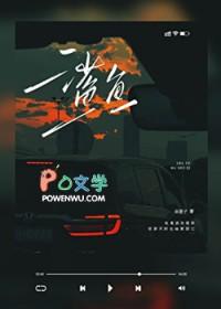 鲨鱼记账
