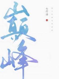 巅峰本源至宝