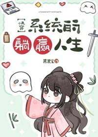 系统vl