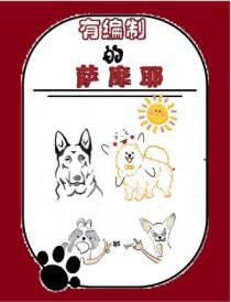 萨摩耶土狗