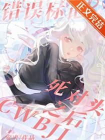 错误标记TXT