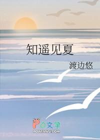 知夏遇你免费阅读