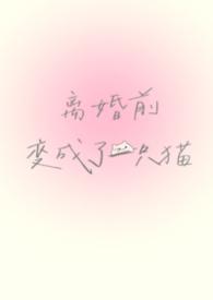离婚前变成了一只猫全文