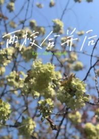 两个学校合并是什么意思