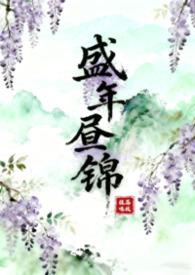 盛年锦时全文免费阅读