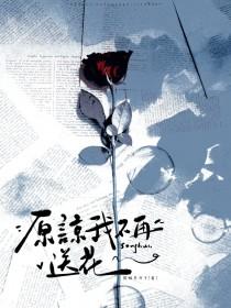 原谅我不再送花歌词