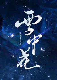 雪中花的歌词