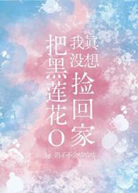 我真没想过重生啊作者柳暗花又明