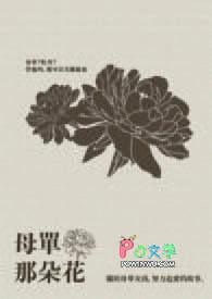 那朵花 歌词