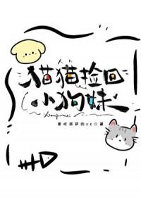 猫捡回家