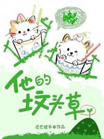 他的坟头草讲的什么