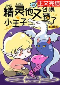 精灵小王子他又召唤错了TXT