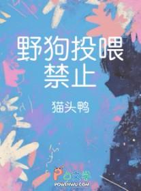 野狗投喂禁止什么东西