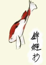 锦鲤抄歌曲银临