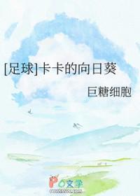 足坛卡卡同人