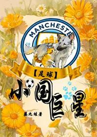 足球 小国巨星