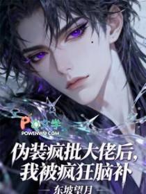 大佬伪装萌新