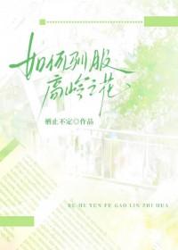 驯服高岭之花南潜歌的写作背景探讨