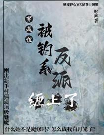 反派正道之光