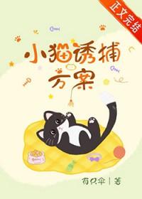 小猫诱捕方案by有只伞