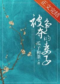 被争夺的妻子讲的什么