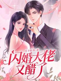 闪婚大佬甜蜜宠