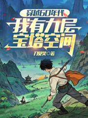 穿越60年代我有九层宝塔空间TXT