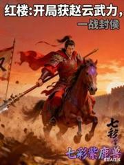 一战封侯txt