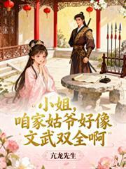咱家姑爷好像文武双全啊全集