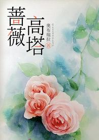蔷薇的高度