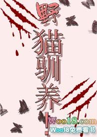 野猫驯养无广告