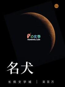 名犬视频