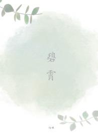 碧霄(NPH)