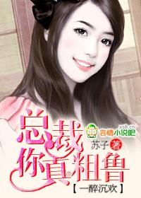 一醉沉欢:总裁,你真粗鲁