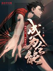 排球少年:冠军征途